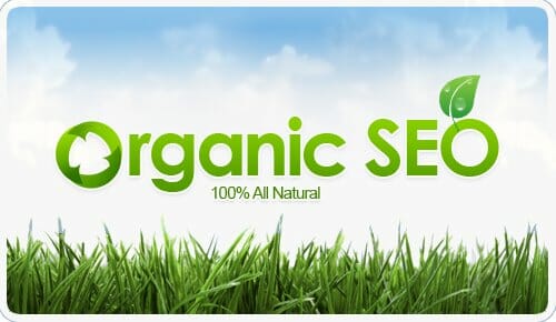 Gain Organic SEO Results